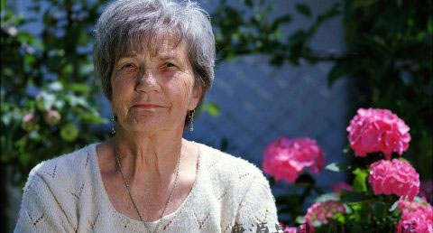 雨水节气过后是什么 雨水节气过后是什么