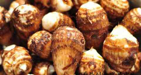 秋分吃芋饼好吗