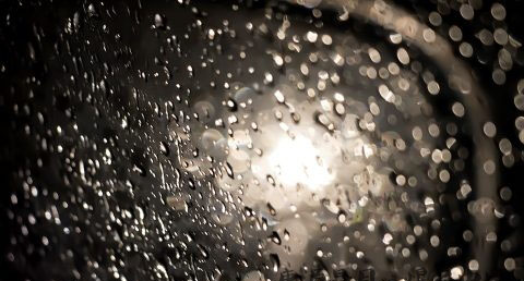 雨水节气养生三要素