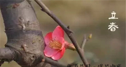 立春是几点