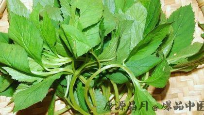 小满养生吃什么好