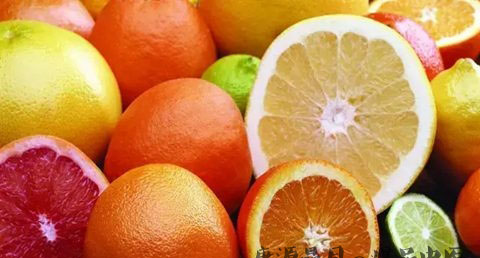 大雪节气吃什么蔬菜