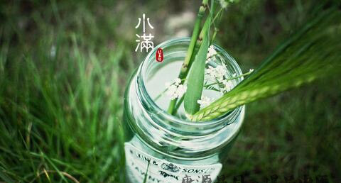 小满节气的介绍