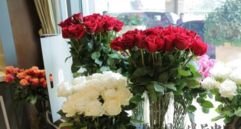 教师节送什么花