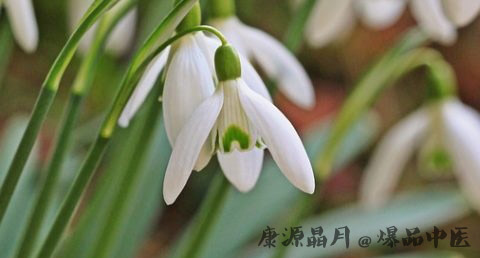 雨水节气过后是什么 雨水节气过后是什么