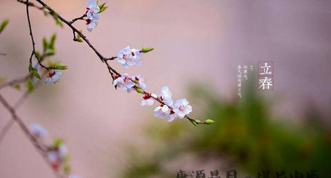 立春为什么要贴春字