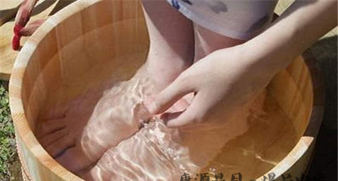 立冬吃什么好呢