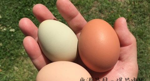 立秋养生饮食全方案