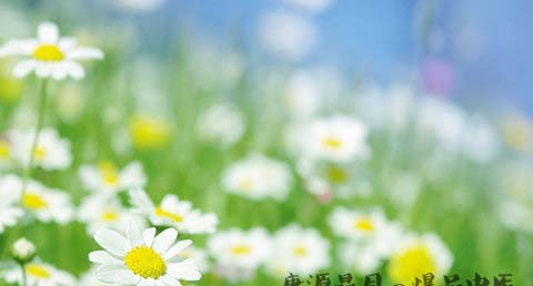 夏至节气吃什么