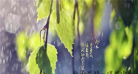 雨水节气表示什么