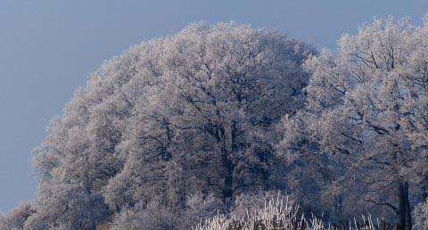冬至和立冬的区别