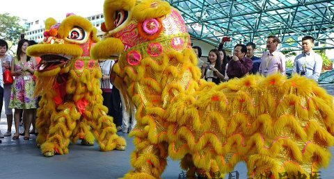 舞龙舞狮的特点