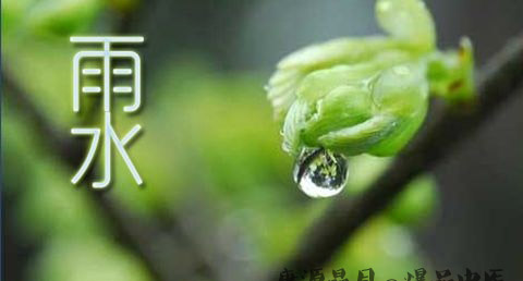 雨水节气有什么讲究