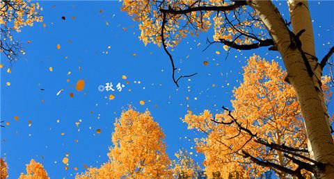 秋分养生要注意什么