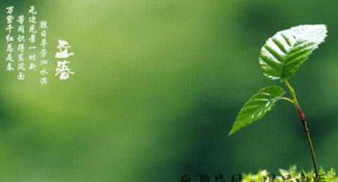 立春有什么活动