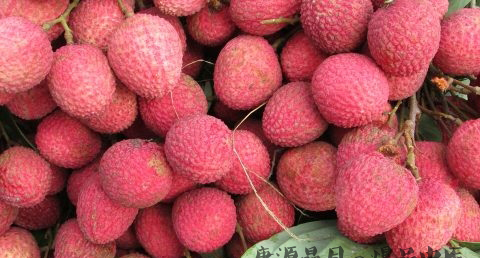 重庆小暑的节气美食