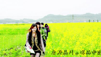 清明节为什么是阳历
