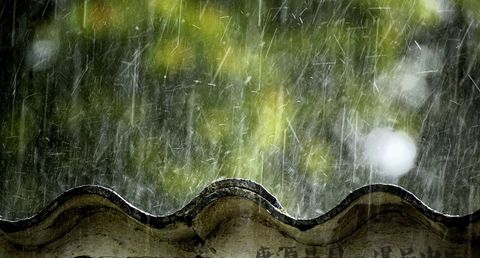 雨水节气的习俗 雨水节气的习俗