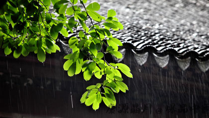 梅雨来了 如何防病防湿防霉
