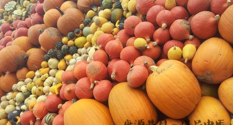 雨水节气养生要点