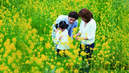 清明节气踏青应注意什么