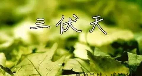 如何计算三伏天