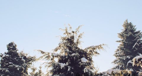 冬至和立冬的区别