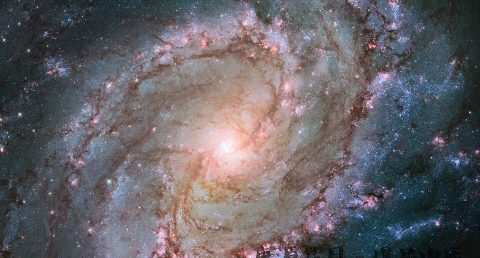 大年初五是什么星座