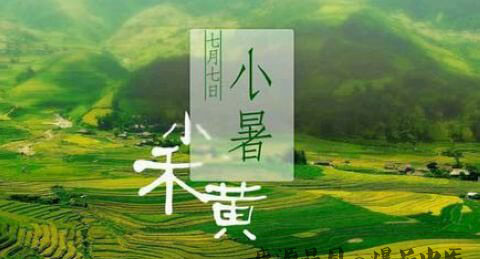 小暑养生小常识