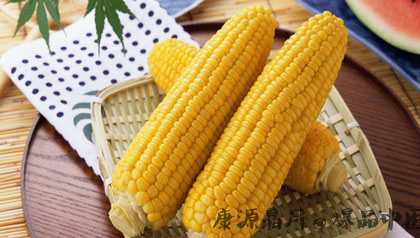 大寒吃什么养脾胃