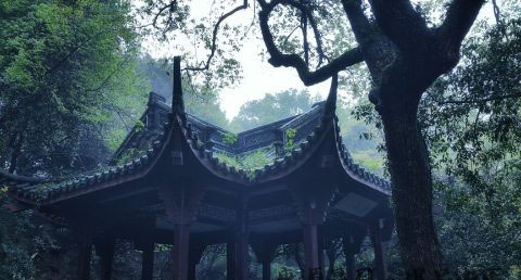 小满节气会闹天吗
