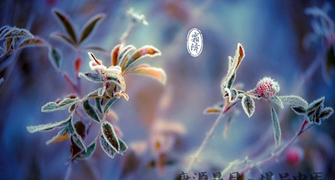 霜降时节起居时间