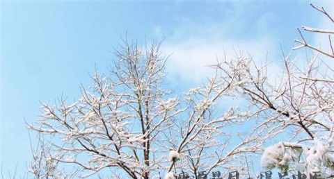小雪如何养生