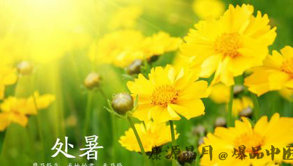 二十四节气之处暑习俗大盘点