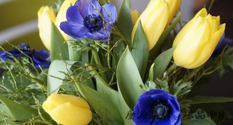 回娘家带什么东西好