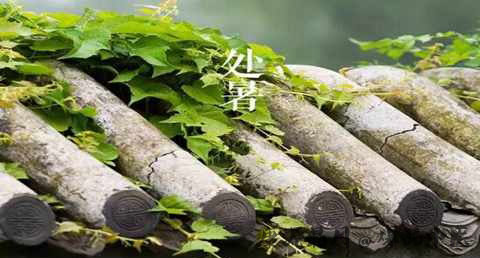 处暑过后还热吗