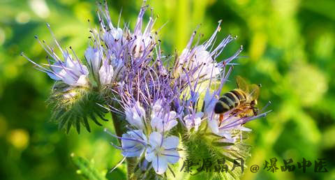 秋分养生保健常识