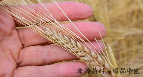 小满是哪天