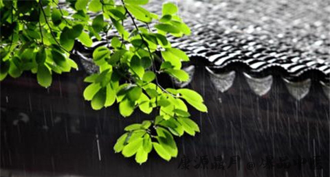 夏至是什么意思