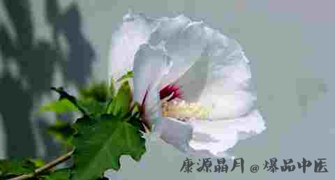 陕西白露养生习俗