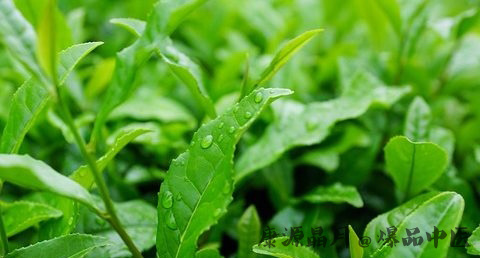 小满节气习俗