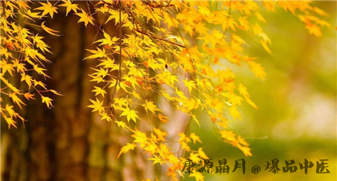 白露以后是什么节气