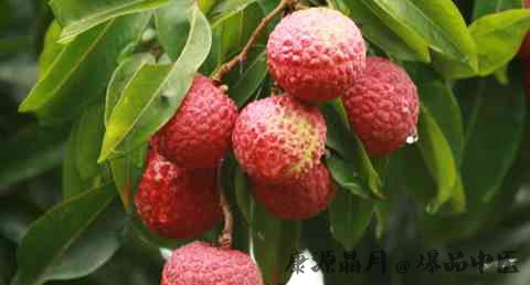 大暑的饮食习俗有哪些