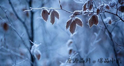 霜降代表什么意思