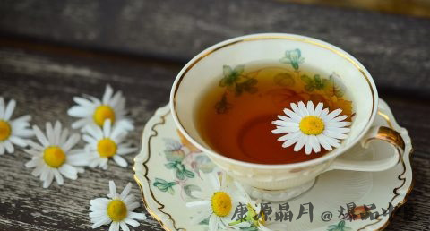 小满节气该喝的茶