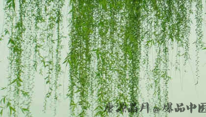 清明节扫墓的习俗
