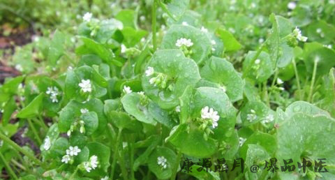 清明节的故事