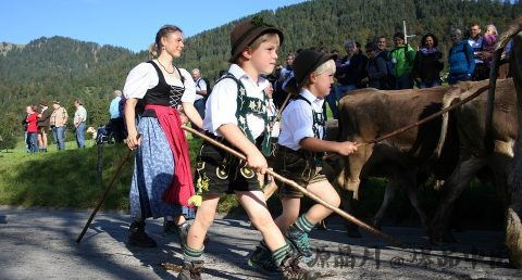 大年初五什么节日