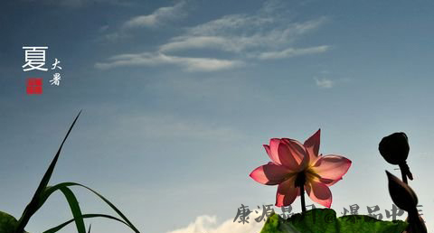 大暑热还是处暑热