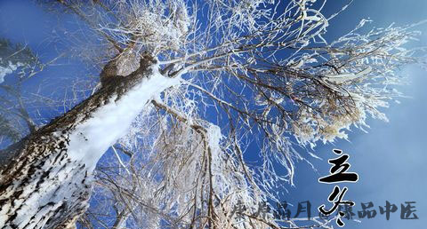 立冬吃狗肉的好处